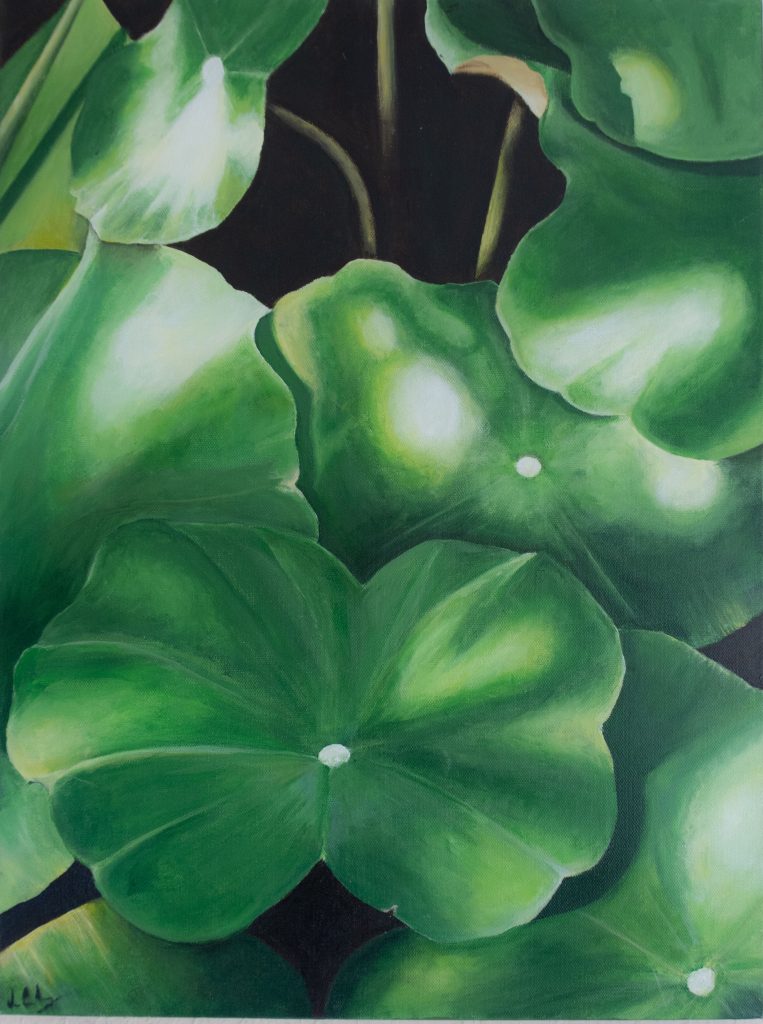 An image of the painting Lily Pads in Taipei (December 2023). This painting is a close up of lily and is primarily varying shades of green. Light and dark patches define the leaf edges and stems run off into the darkness below.